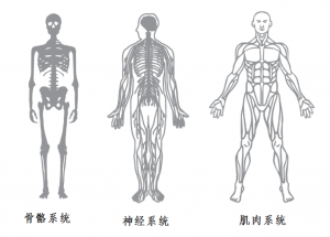图4.3